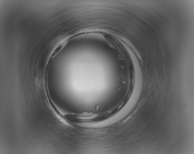 X0000060581197200511031328