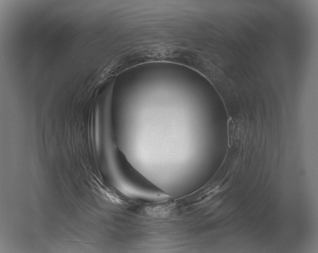 X0000060581202200511031327