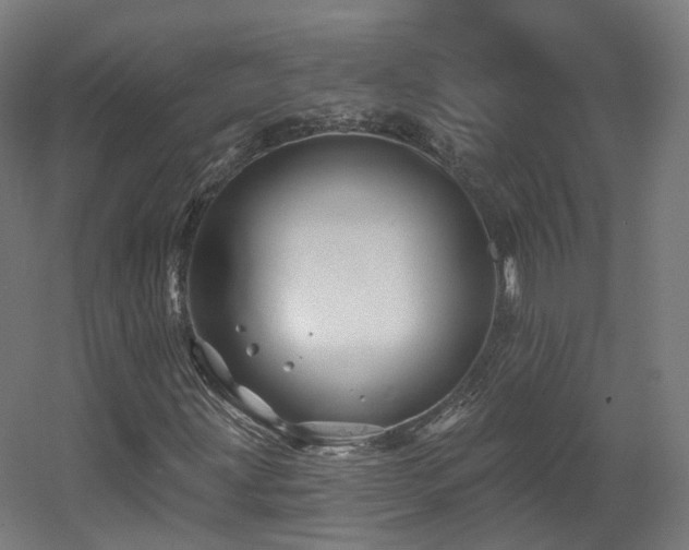 X0000060581203200511031327