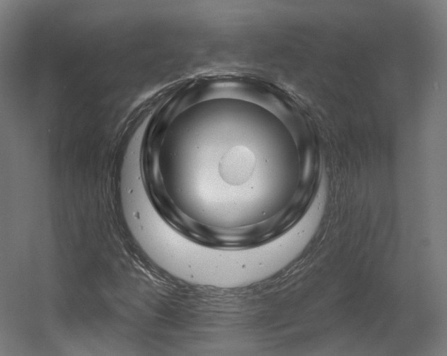 X0000060581206200511031327
