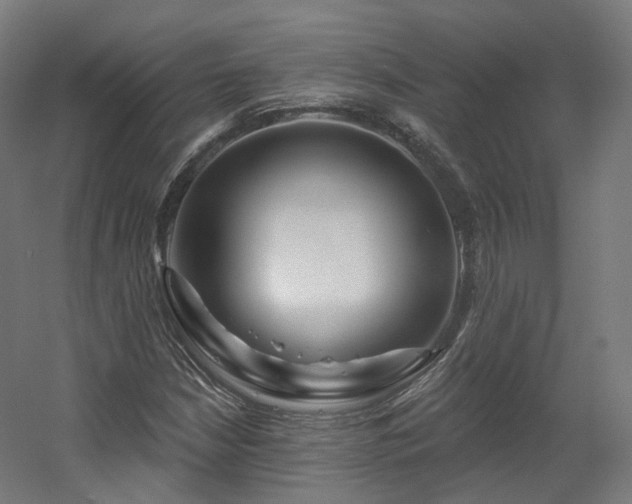 X0000060581210200511031327