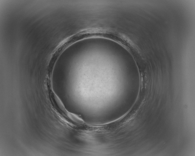 X0000060581213200511031327