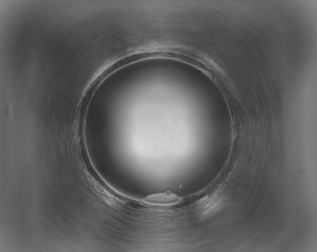 X0000060581216200511031327