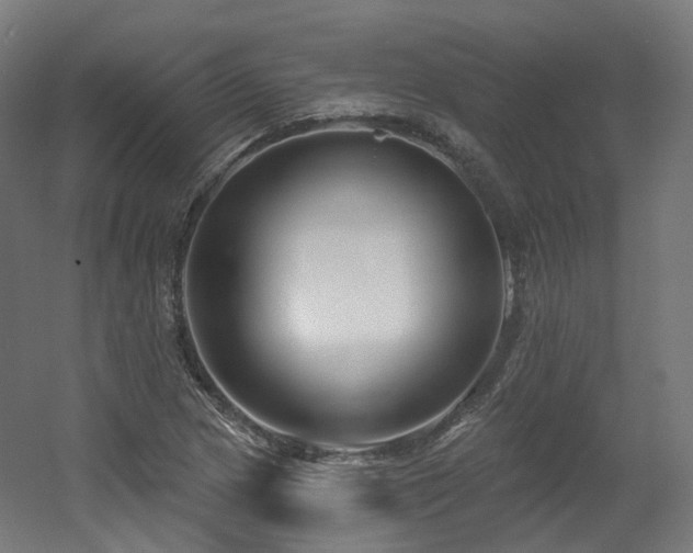 X0000060581217200511031327
