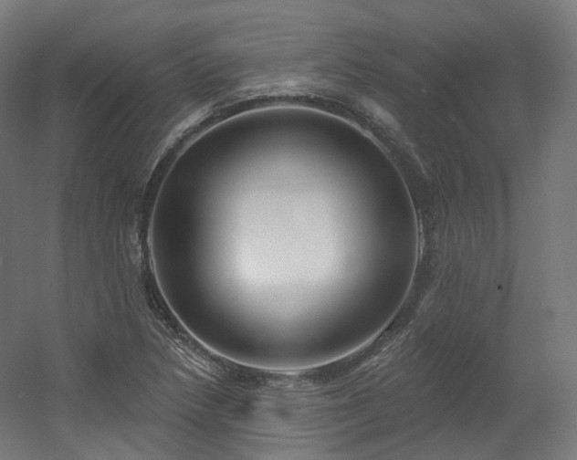 X0000060581218200511031327