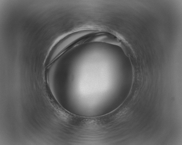 X0000060581222200511031327