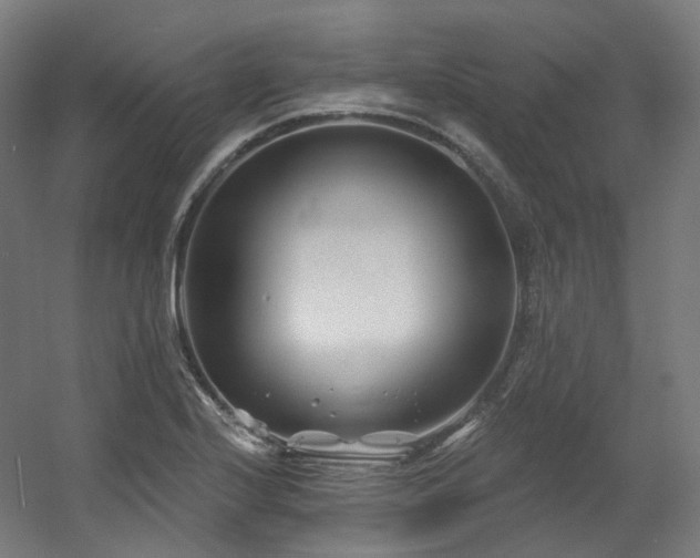 X0000060581224200511031327