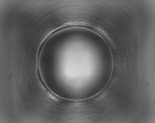 X0000060581228200511031327
