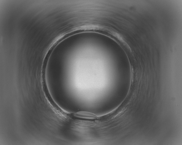 X0000060581229200511031327