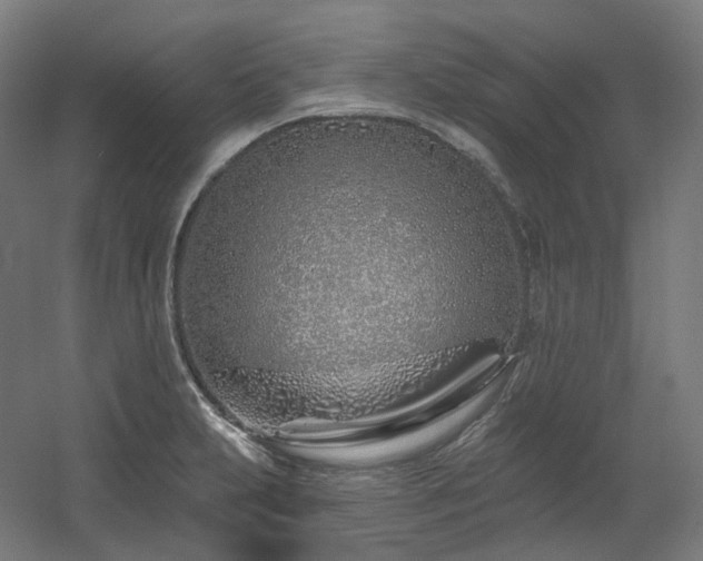 X0000060581231200511031327