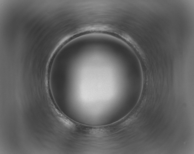 X0000060581232200511031327