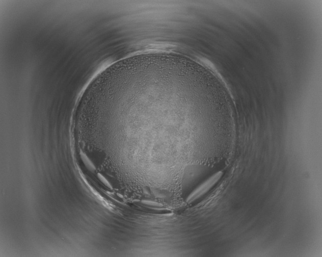 X0000060581235200511031327
