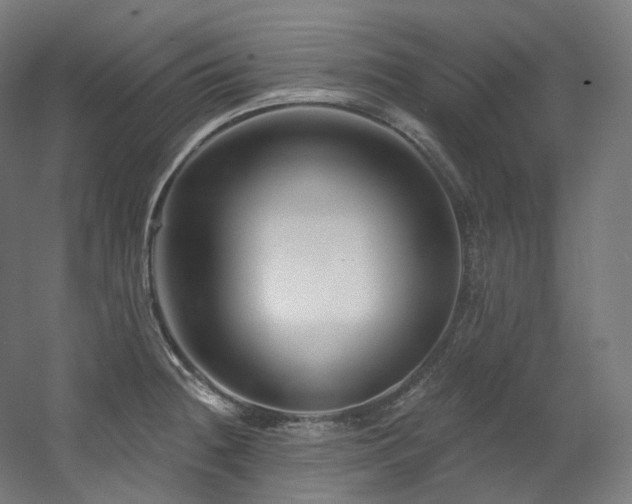 X0000060581236200511031327