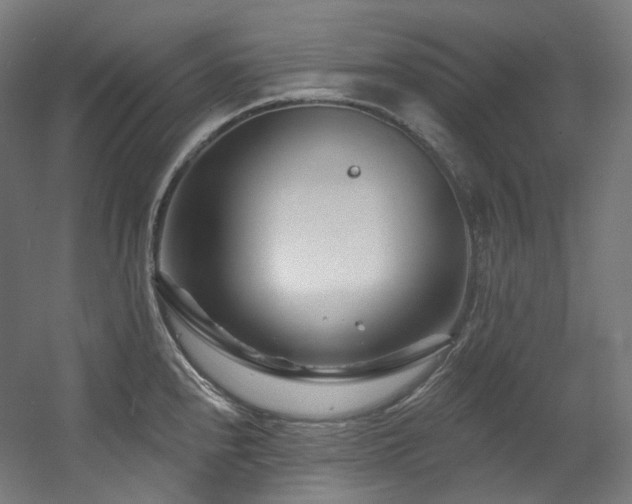 X0000060581240200511031327