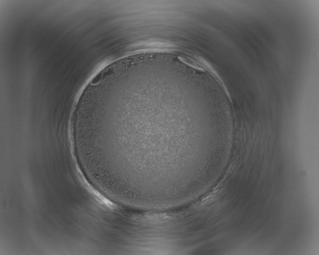 X0000060581243200511031327