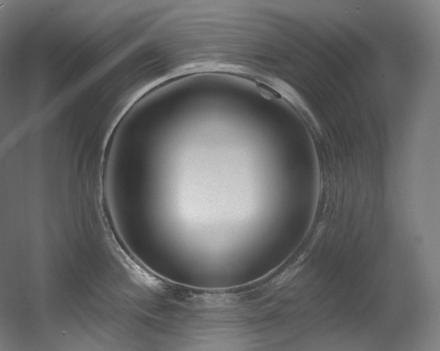 X0000060581244200511031327