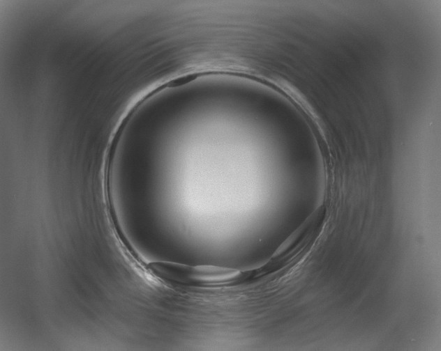 X0000060581246200511031328