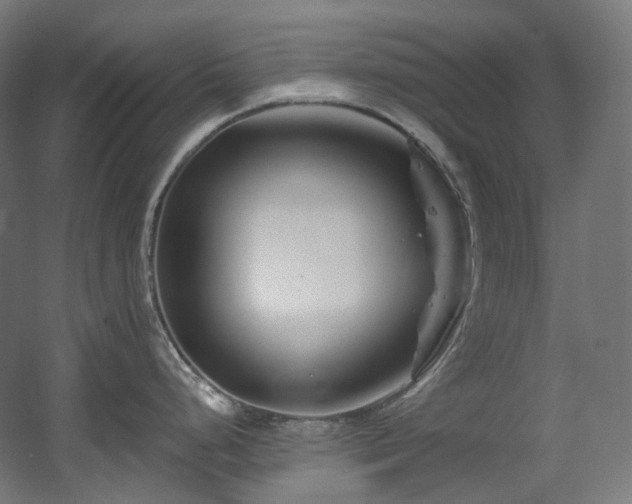 X0000060581248200511031328
