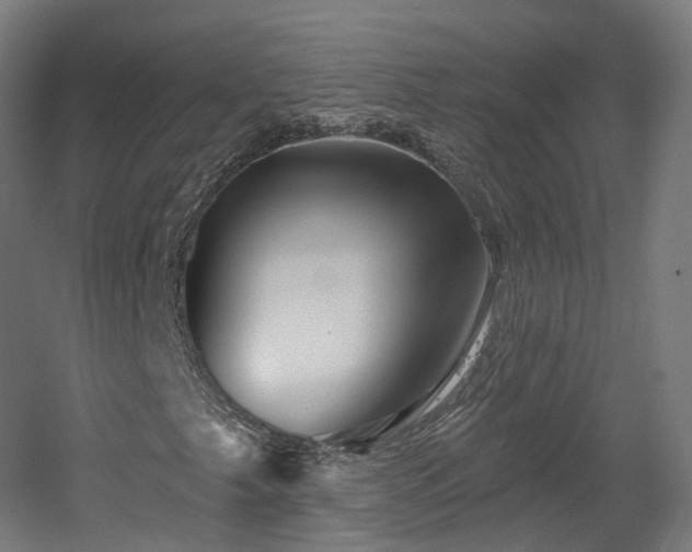 X0000060581249200511031327