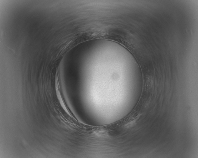 X0000060581250200511031327