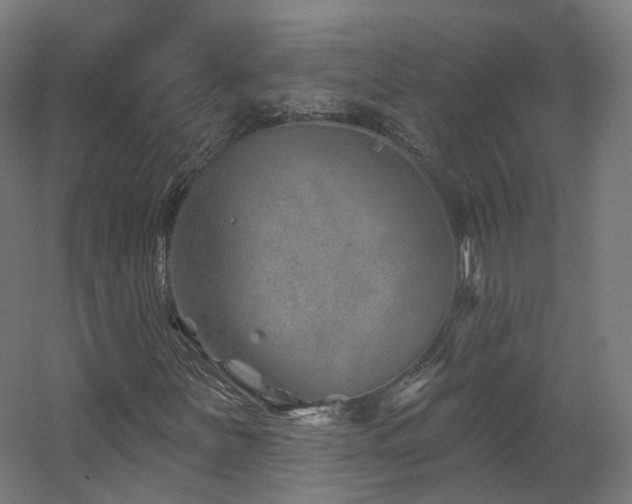 X0000060581251200511031327