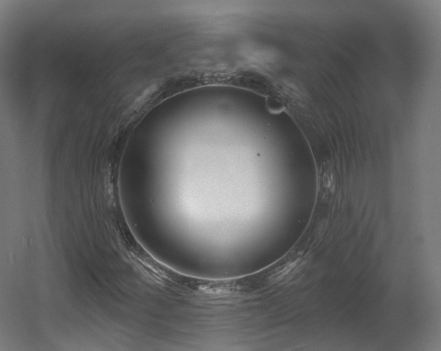 X0000060581252200511031327