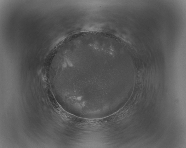 X0000060581254200511031327