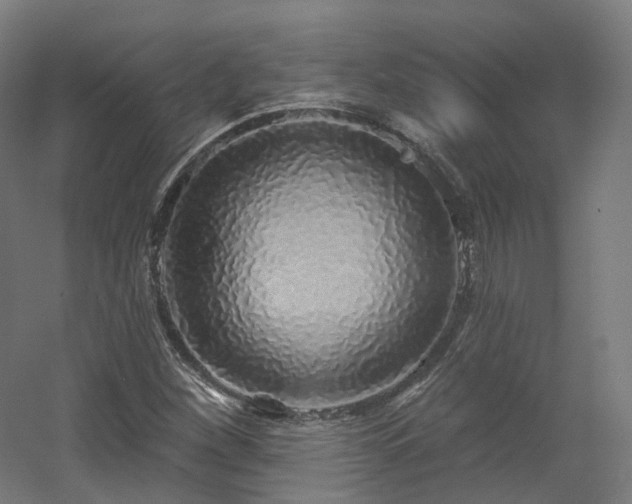 X0000060581260200511031327