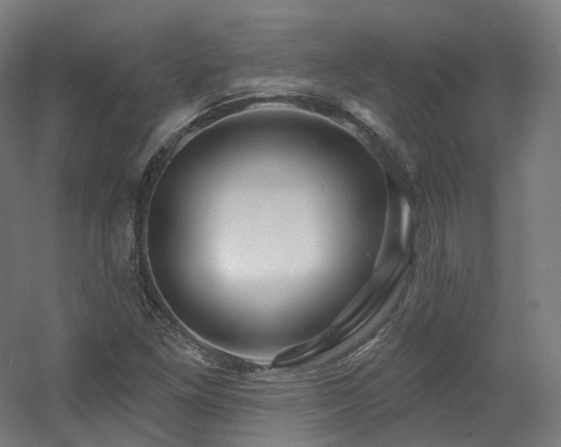 X0000060581261200511031327