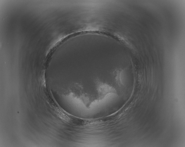 X0000060581262200511031327