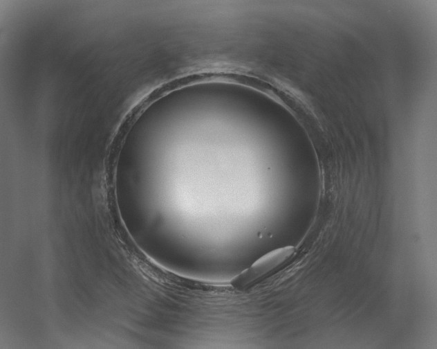 X0000060581264200511031326