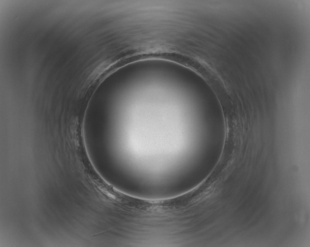 X0000060581265200511031326