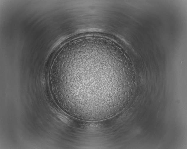 X0000060581266200511031326