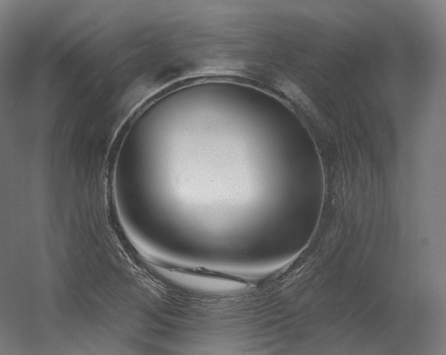 X0000060581268200511031326