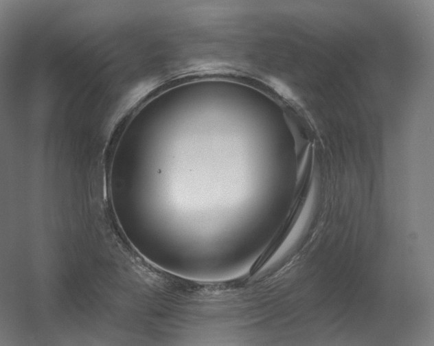 X0000060581269200511031326