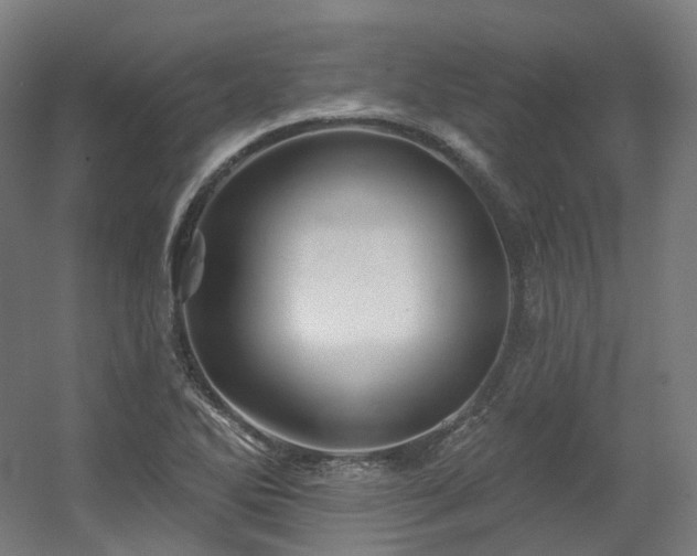 X0000060581270200511031326