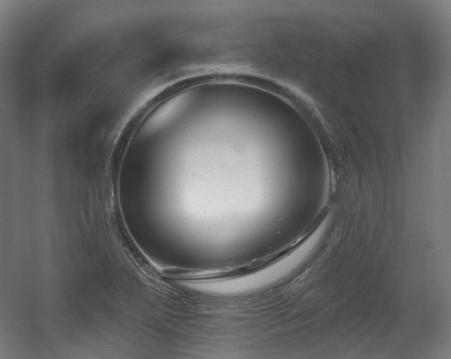 X0000060581271200511031326