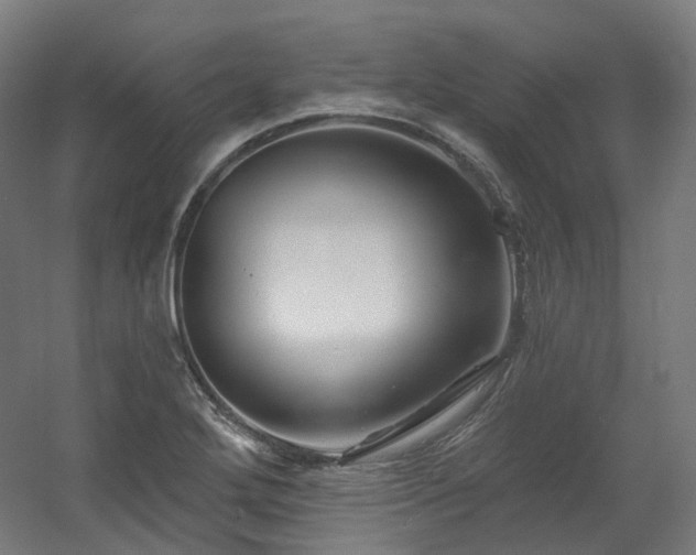 X0000060581272200511031326