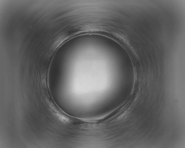 X0000060581273200511031326