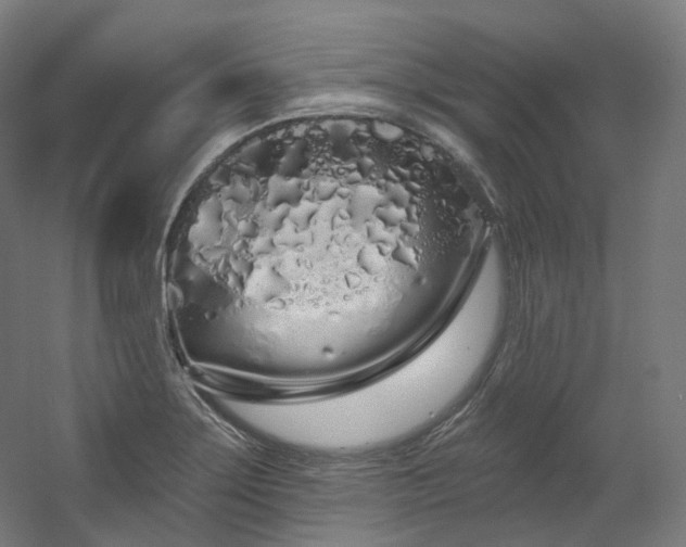 X0000060581275200511031326