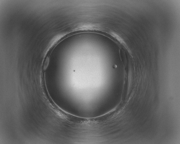 X0000060581277200511031326