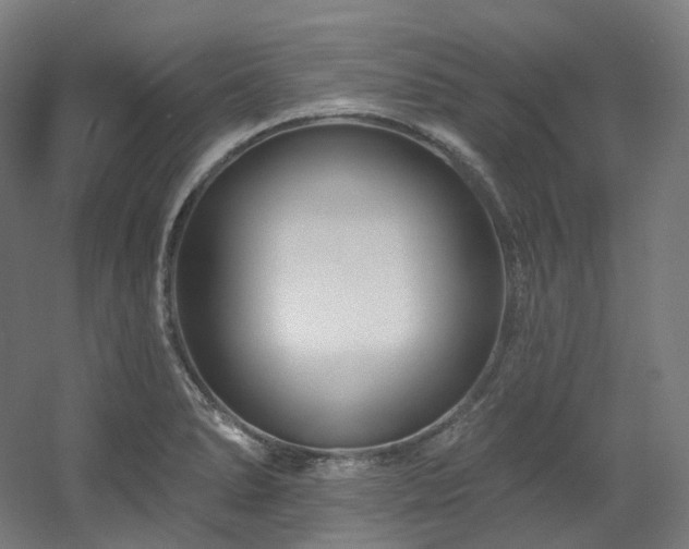 X0000060581278200511031326