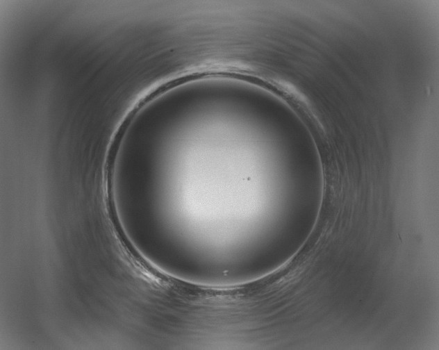 X0000060581280200511031326