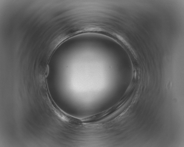 X0000060581281200511031326