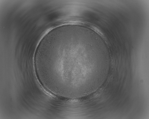 X0000060581283200511031326