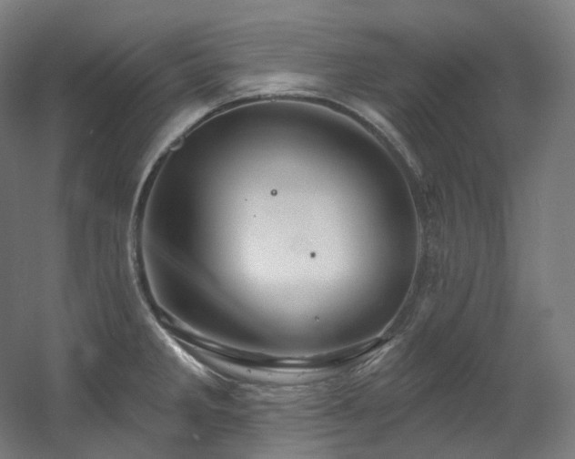 X0000060581285200511031326