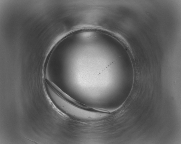 X0000060581287200511031326