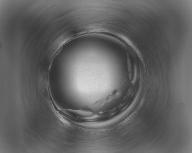 X0000060581289200511031326