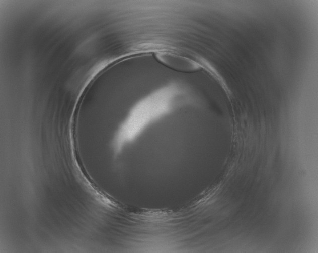 X0000060581291200511031326