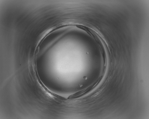 X0000060581293200511031326